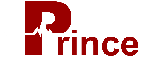 princenemt-logo